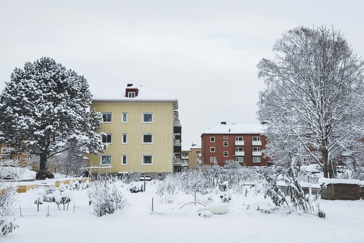 Ska vi boka bord för i kväll?