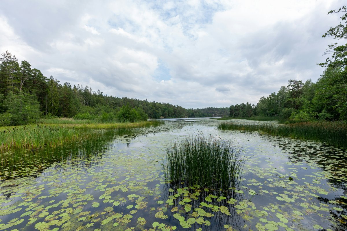 Nu är det sommartid, så kvällen känns längre.