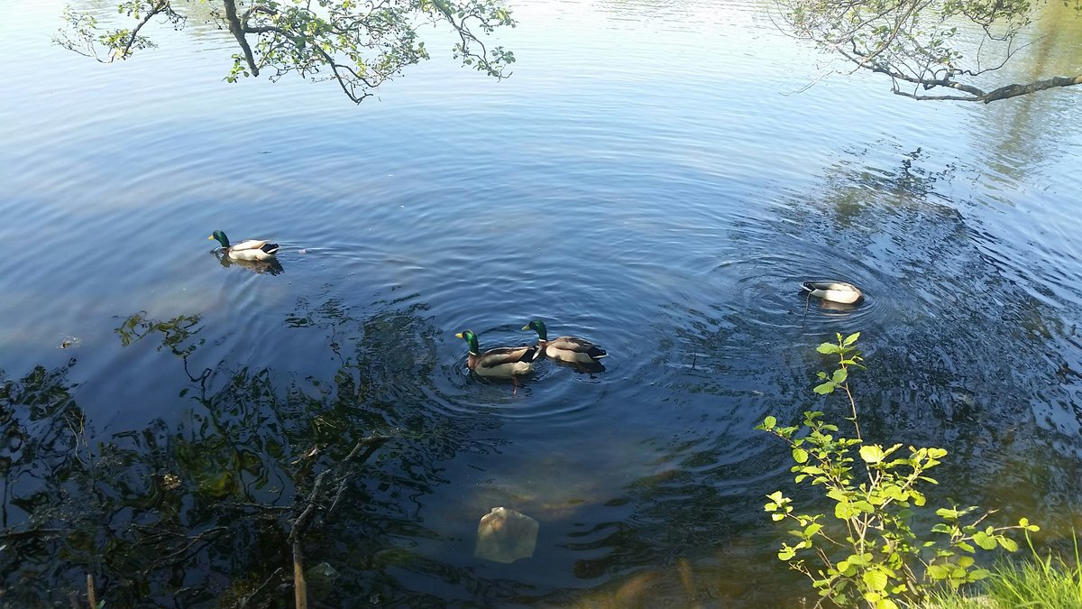 Värsta